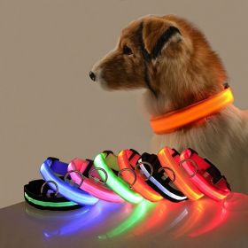 Glow-In-The-Dark Pet Collar For Dog & Cat; LED Dog Collar For Night Walking; USB charging - Blue - M