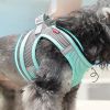 Pet Harness For Dog & Cat; No Pull Breathable Dog Vest Harness For Walking; Anti Escape Dog Harness - Sky Blue - L