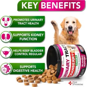 Dog Urinary Treatment Cranberry Supplement for Dogs Bladder Control for Dogs Urinary Tract Infection Treatment Multivitamin Chews - Vet Promise