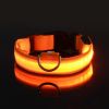 Glow-In-The-Dark Pet Collar For Dog & Cat; LED Dog Collar For Night Walking; USB charging - Red - XS