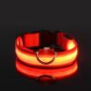 Glow-In-The-Dark Pet Collar For Dog & Cat; LED Dog Collar For Night Walking; USB charging - Red - L