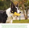 Pet Dog Toy Interactive Rubber Balls for Small Large Dogs Puppy Cat Chewing Toys Pet Tooth Cleaning Indestructible Dog Food Ball - sucker - China