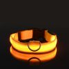 Glow-In-The-Dark Pet Collar For Dog & Cat; LED Dog Collar For Night Walking; USB charging - Yellow - XL