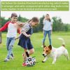 Dog Toys Interactive Pet Football Toys With Grab Tabs Dog Outdoor Training Soccer Pet Bite Chew Balls For Dog Accessories - football with pump set