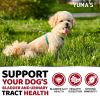 Dog UTI Treatment 170 Treats Cranberry Supplement for Dogs Bladder Control for Dogs - Yuma'S