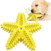 Sea Star Shaped Dog Toothbrush with Sound Pet Teeth Grinding Toy Dog Sound Toy - C - CN