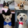 Dogs Accessories Pet Kawaii Dog Cat Necklace Adjustable Strap for Cat Collar Pet Dog Bow Tie Puppy Bow Ties Dog Pet Supplies - Blue