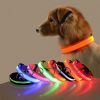 Glow-In-The-Dark Pet Collar For Dog & Cat; LED Dog Collar For Night Walking; USB charging - Green - M