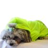 The Ultimate Waterproof Thunder-Paw Adjustable Zippered Folding Travel Dog Raincoat - X-Small