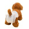 Small dog disposable diapers; Small dog physiological pants Female dog sanitary napkin Safety underwear Male dog diapers - Boy M 10 pcs/Pack