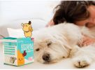 Small dog disposable diapers; Small dog physiological pants Female dog sanitary napkin Safety underwear Male dog diapers - Boy L 10 pcs/Pack