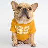 dog clothes starling English short bulldog pet clothing round collar T-shirt Teddy than panda dog clothing - yellow - 2XL