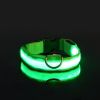 Glow-In-The-Dark Pet Collar For Dog & Cat; LED Dog Collar For Night Walking; USB charging - Green - M