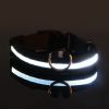 Glow-In-The-Dark Pet Collar For Dog & Cat; LED Dog Collar For Night Walking; USB charging - Green - M